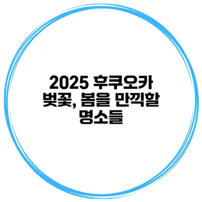 2025 후쿠오카 벚꽃, 봄을 만끽할 명소들